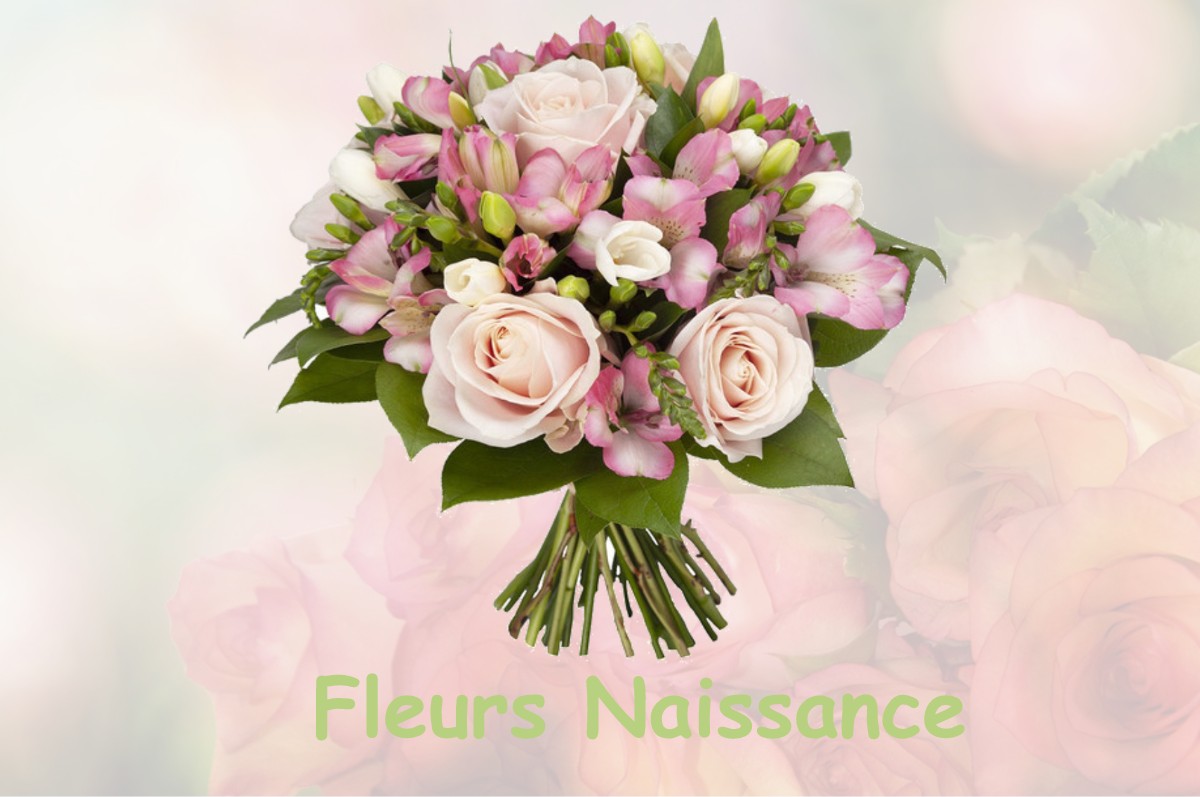 fleurs naissance COURCELLES