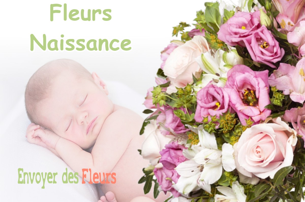 lIVRAISON FLEURS NAISSANCE à COURCELLES